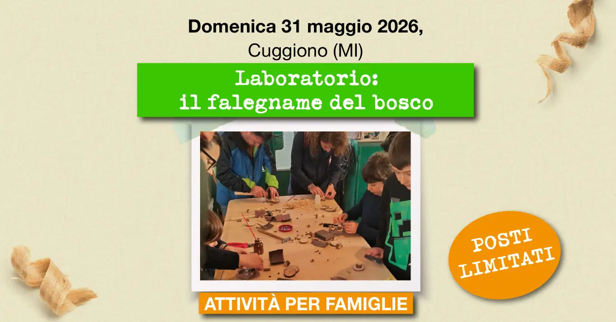 Evento Maggio