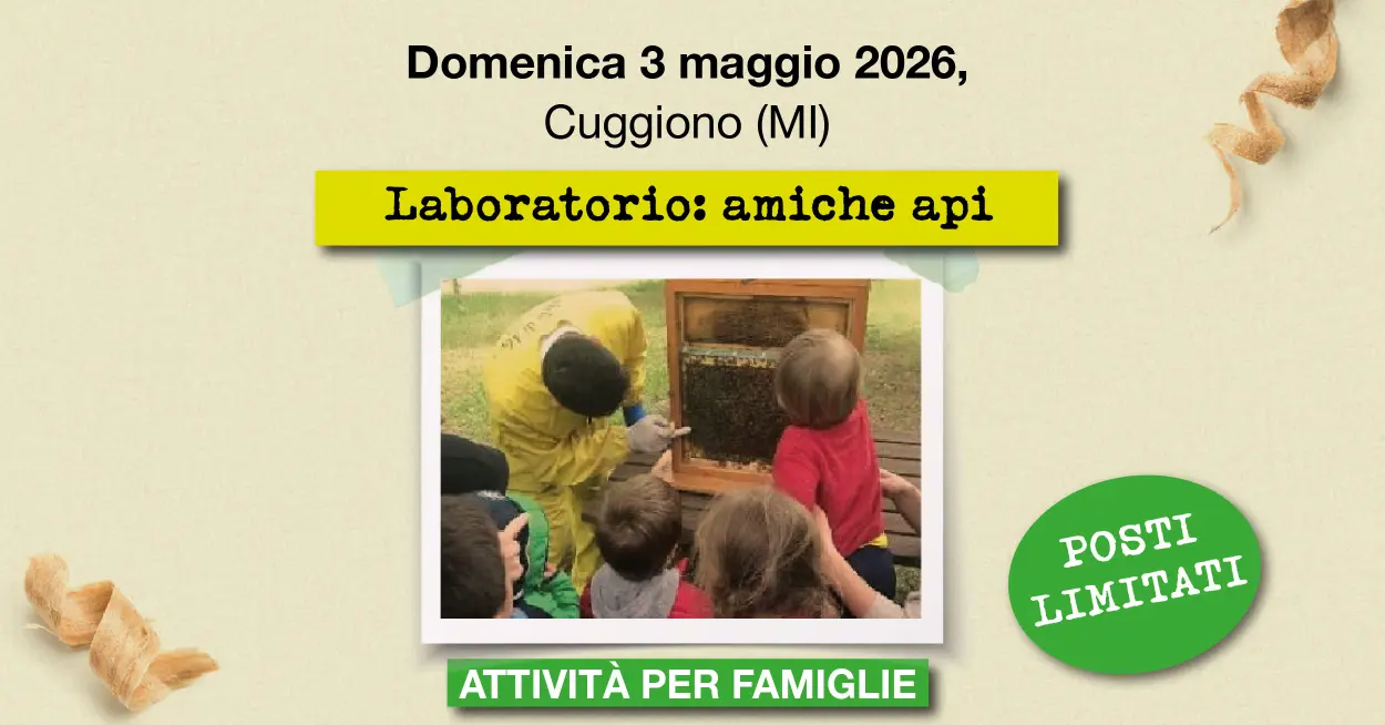 Evento Maggio