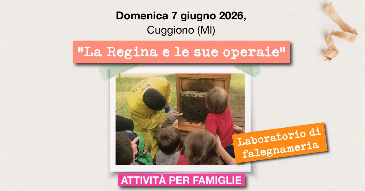 Evento Giugno
